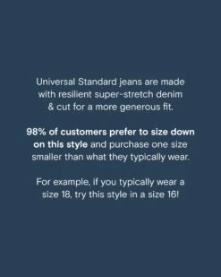 ComfortDenim Dont Call Them Jeggings - Dark Indigo -ChicLuxe Store DenimSizeDownImage 93eca17b 925b 4cb1 9b71 dfc1d6953320 2048x