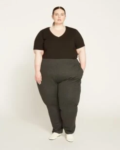 Smart Signature Ponte Pants - Charcoal -ChicLuxe Store Smart Signature Ponte Pants Charcoal USPA0920C 057 001 021 2048x